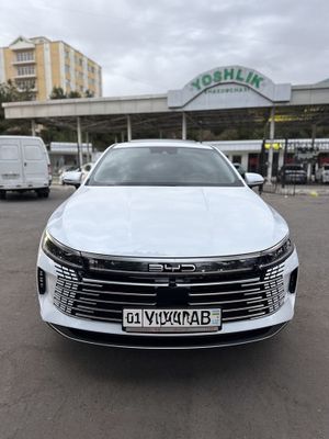 Byd chazor 120 tali 4 pazitsa flacship fuli 2024yil