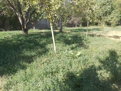 Уй сотилади Йусуф хонада атрофмда жойлашкан