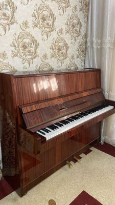 Musiqiy asboblar kelishilgan narxlarda sotiladi
