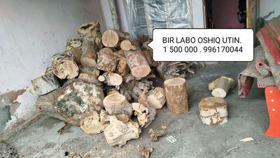 UTIN CHINOR VA TOL