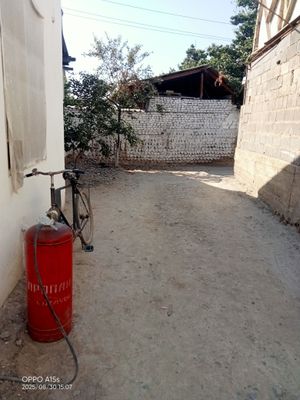 Velo