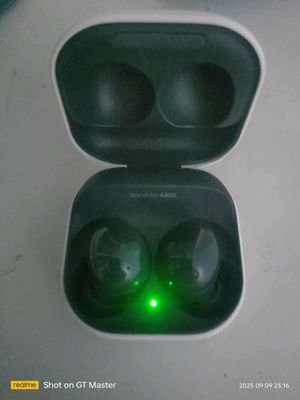 Galaxy Buds2 (015C)