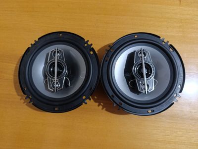 Pioneer 16 sm kalonka pishalkali