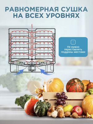 Дегидратор овощей и фруктов