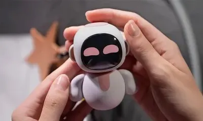 Новинка! 2 Робота EilikO (Эйлико) с ИИ. В наличии.