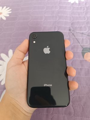 iPhone XR сотилади