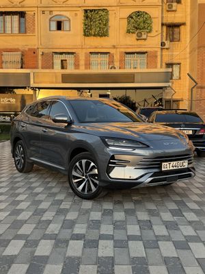 BYD Champion Gibrit Full