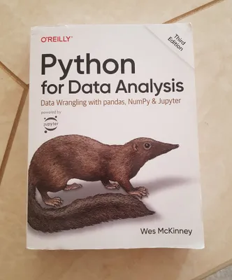 Python for Data Analysis kitob