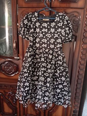 zaren collection