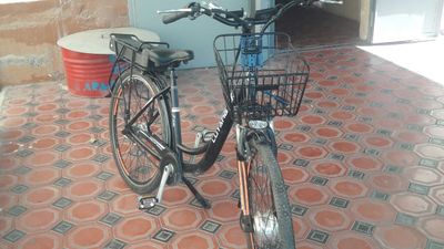 Velosiped elektron velik.