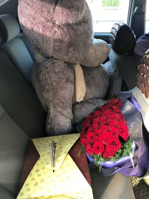 Teddy