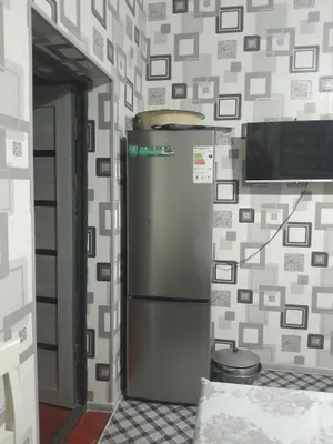 Muzlatkich holati yangi