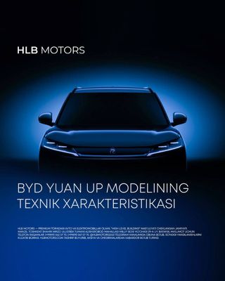 Byd yuan up 2024