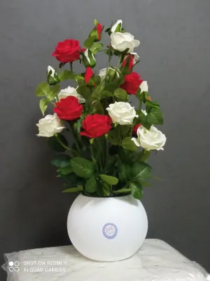 суньий гуллар