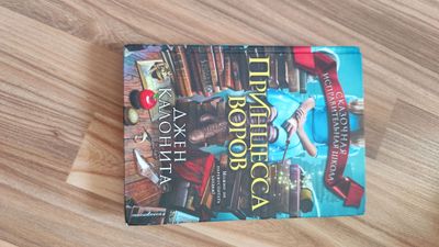 книга принцесса воров