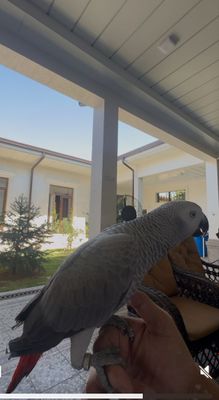 Jako sotiladi 1 yoshdan oshdi ideal ruchnoy gaplari bor