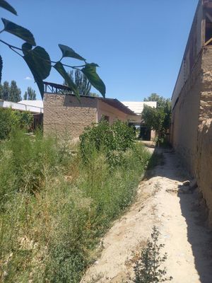 Navoiy viloyati karmana tumani