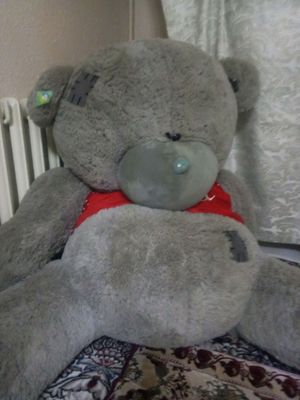 teddy