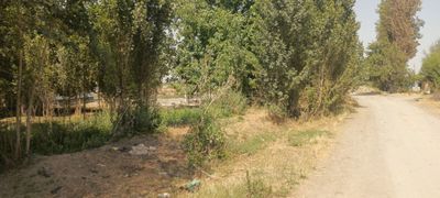 Ер сотилади 40 сотих икки томонлама йол 13дан сотих янги Озбекистонда