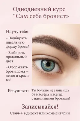 Брови , обучение не дорого