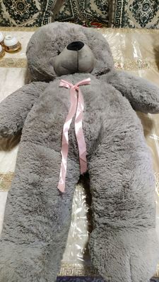 TEDDY