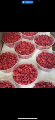 Malina 2 Kg dan 100 Kg gacha