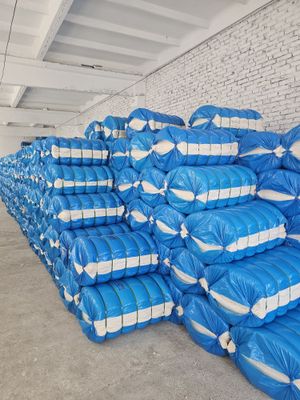 Paxta Optum Tashkent shahar uchun