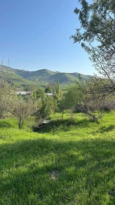 Parkent tumani Nevich mahalla