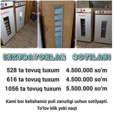 INKUBATOR sotiladi 616 ta tovuq tuxum