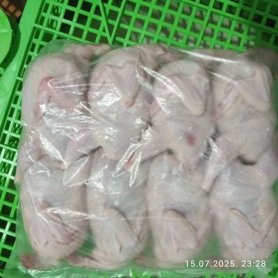 Beliy gegant bedana bor 1 kulida. 40 kunliygachen tayyori bor