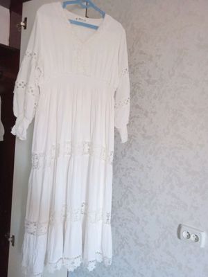 Oq kuylak