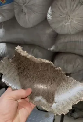 Chorvangiz uchun arzon va foydali yem!