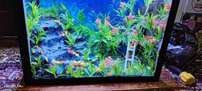 Akvarium sotiladi