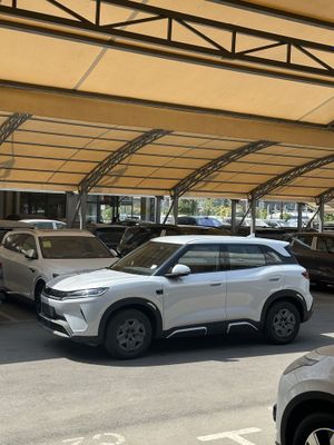 Byd yuan up 2025 yil 401 km