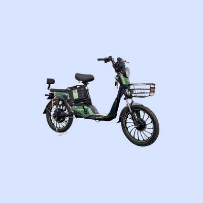 Elektroskuter Cavalo H9