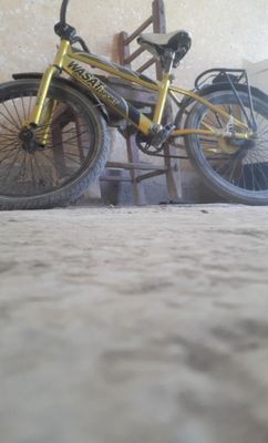 WASAT Sport velosiped