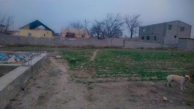 Участка сотилади 15 су'тик 5 сутикдан 3 та