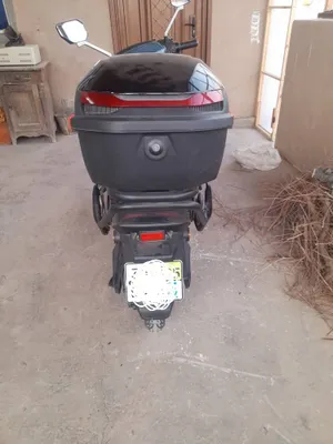 Мото электрическая