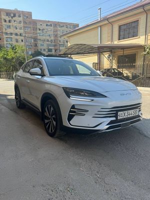 Byd champion hybrid срочно