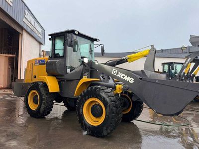 погрузчик XCMG LW300FN