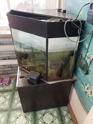 Продам аквариум недорого