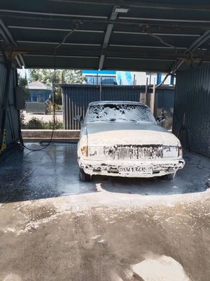 Волга 31029 газ/бензин