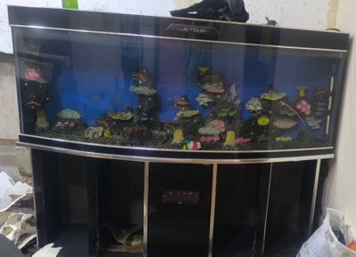 Akvarium sotiladi srocna,uzunligi 2m yaxwi xolatda