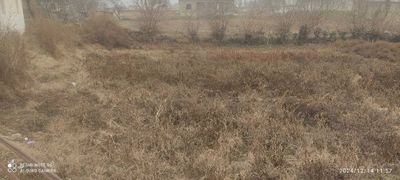 Yangiyo'l tumani Isloxot mahalasida Yer uchaskasi sotiladi