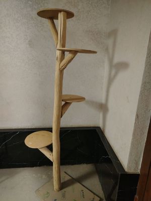когтеточка