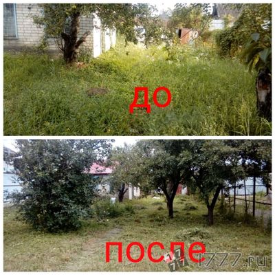Уборка огородов подъездов и квартир
