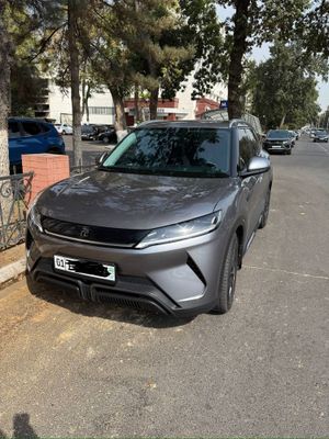 Byd yuan up 2024