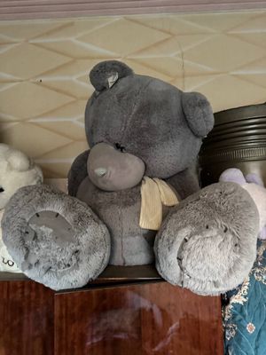 Teddy ayiqlar sotiladi 500.000 so'mdan holati yaxshi