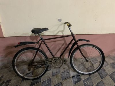 Velik sotiladi 450.000ming kami bor