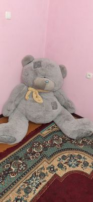 Teddy yumshoq ayiq